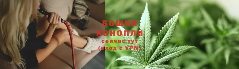 где найти   маркетплейс Telegram  Конопля OG Kush  Кореновск  кракен ТОР 